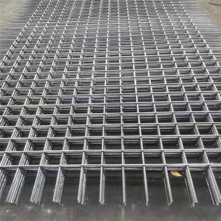 1696832537316515.jpg